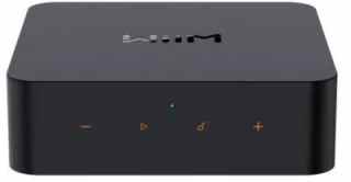 WiiM Voice Remote #1