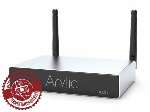 Arylic A30+