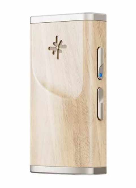 Snowsky Melody Maple